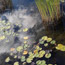 Clouds Reflected in Water
