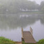Foggy Pond
