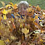 Ben in the Leaves