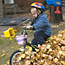 Bike Through the Leaves