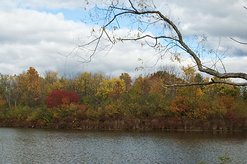 Another View of Pond in Fall